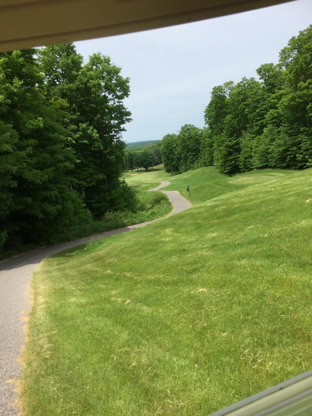 Number 10 (Photo submitted by u240285340 on 06/09/2020)