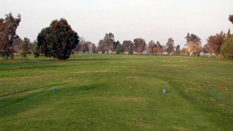 Forebay GC: #4