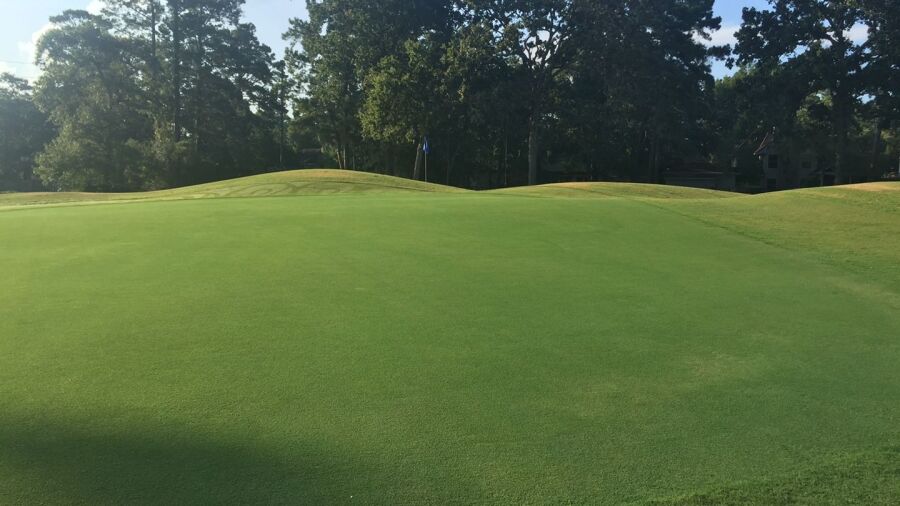 Atascocita GC: green