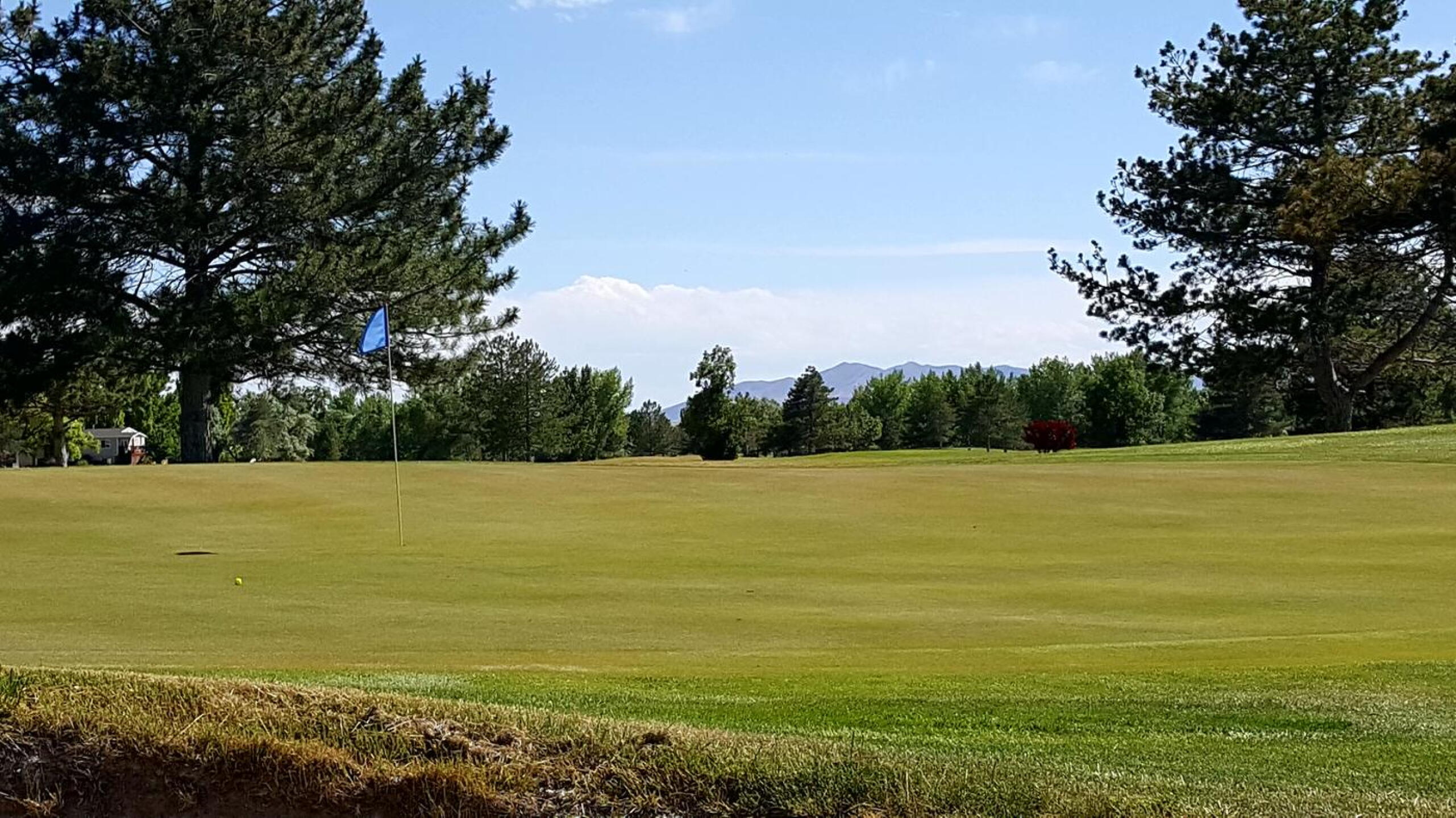 (Photo submitted by GreerGolf on 06/21/2018)