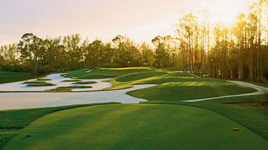 Dye Preserve GC: #13