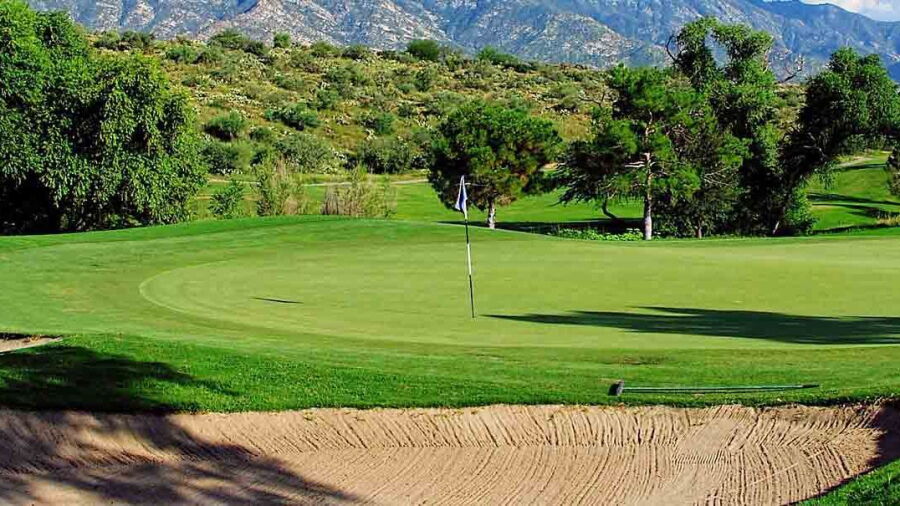 SaddleBrooke CC
