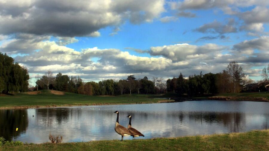 Brentwood GC