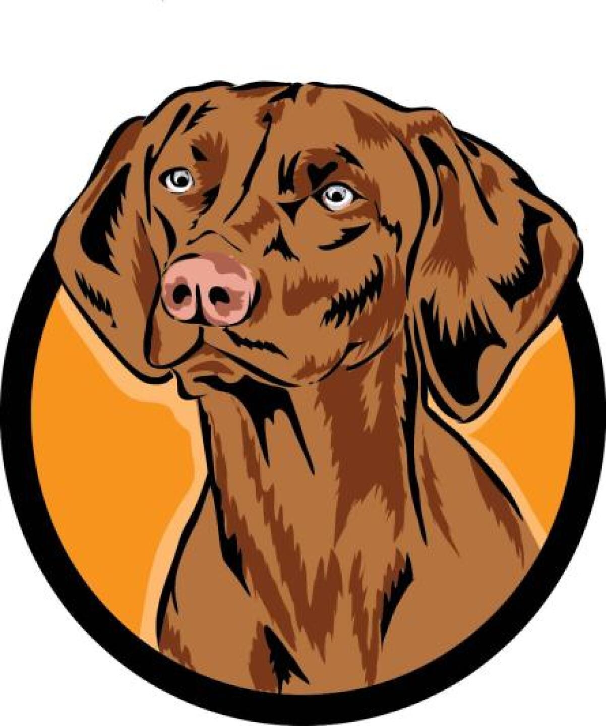 Go Play LPGA! (Photo submitted by oakleyduff on 06/26/2013)