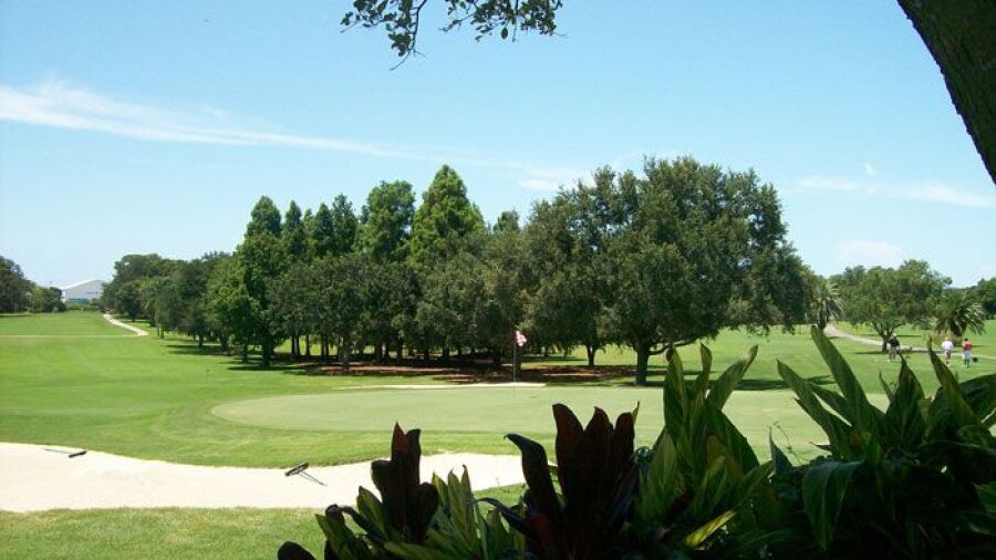 Dunedin GC