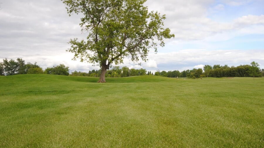 Scotswood Links