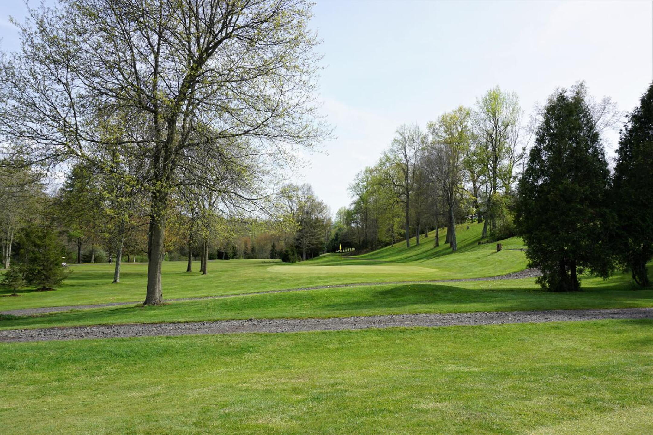 The sixth green from behind. (Photo submitted by AptlyLinked on 05/06/2022)