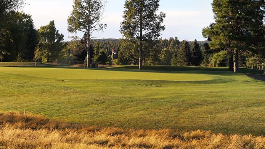 Pinewood CC
