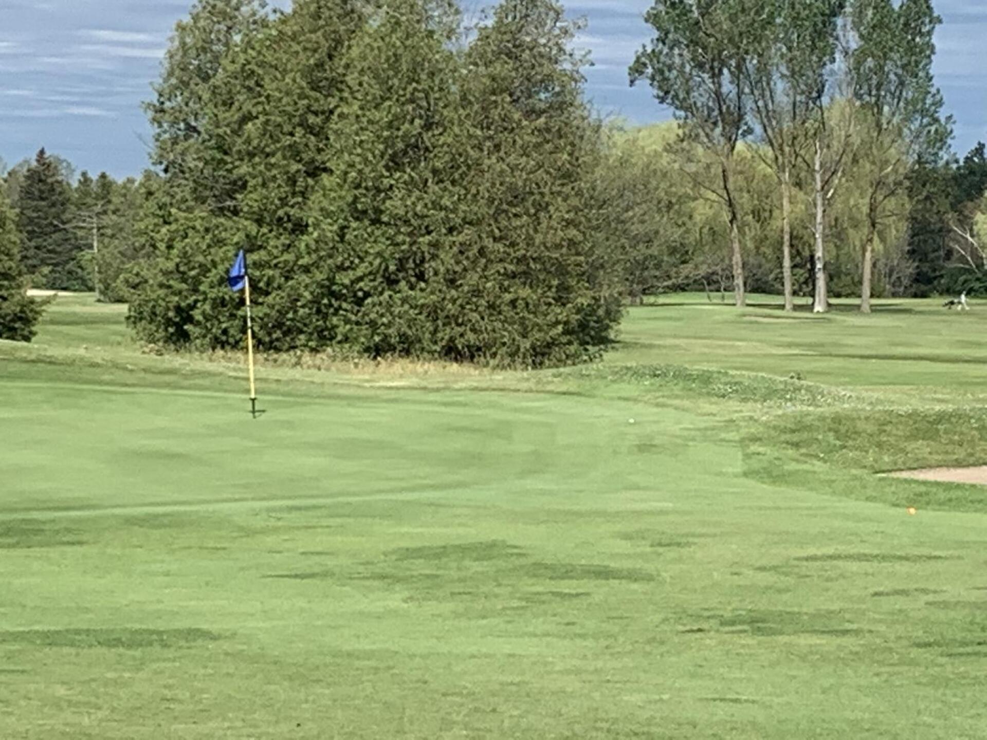 (Photo submitted by TerryRoloson on 07/03/2021)