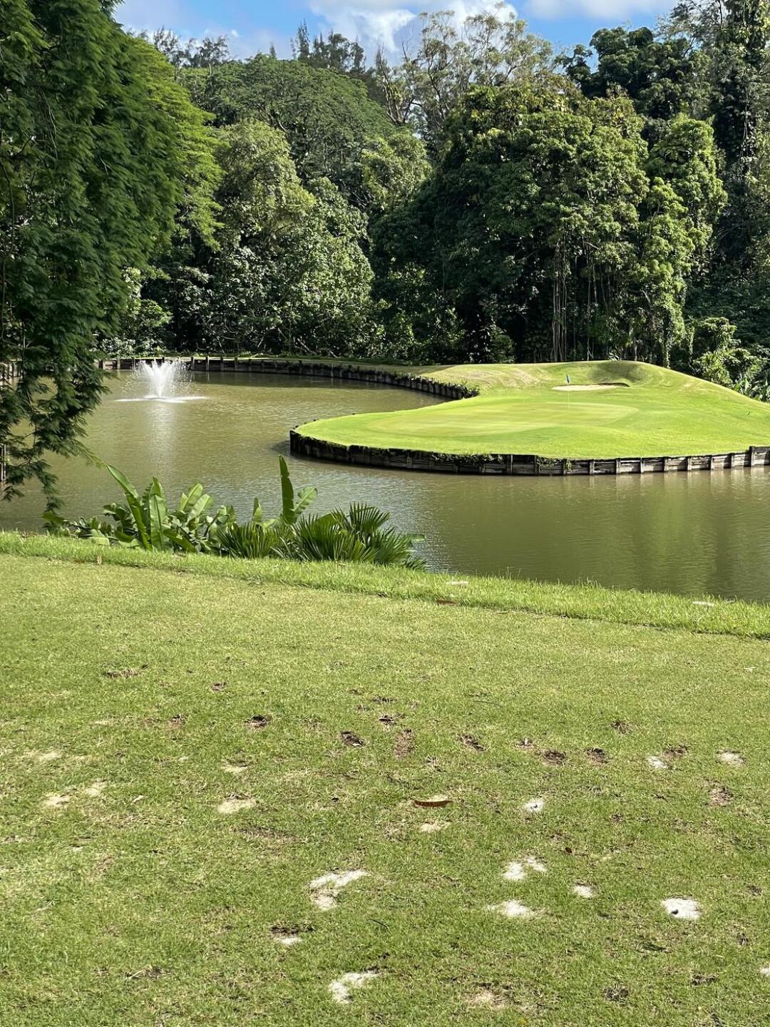 #2 is a beauty! (Photo submitted by aimoos15 on 09/10/2021)