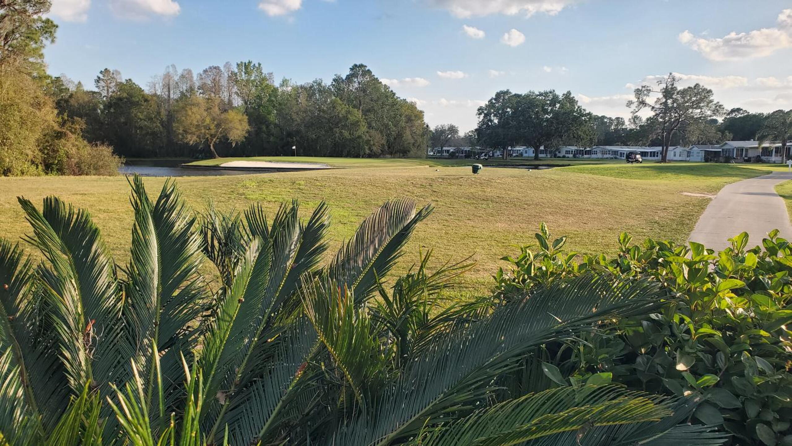 Nice little par 3 (Photo submitted by u000004015214 on 03/01/2023)
