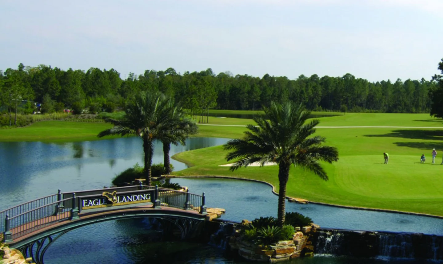 Eagle Landing at Oakleaf Plantation