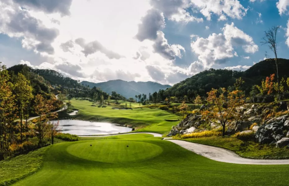 Sagewood Hongcheon - Dream: #3