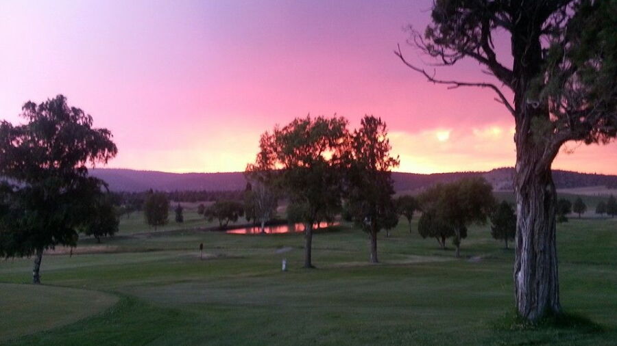Arrowhead GC