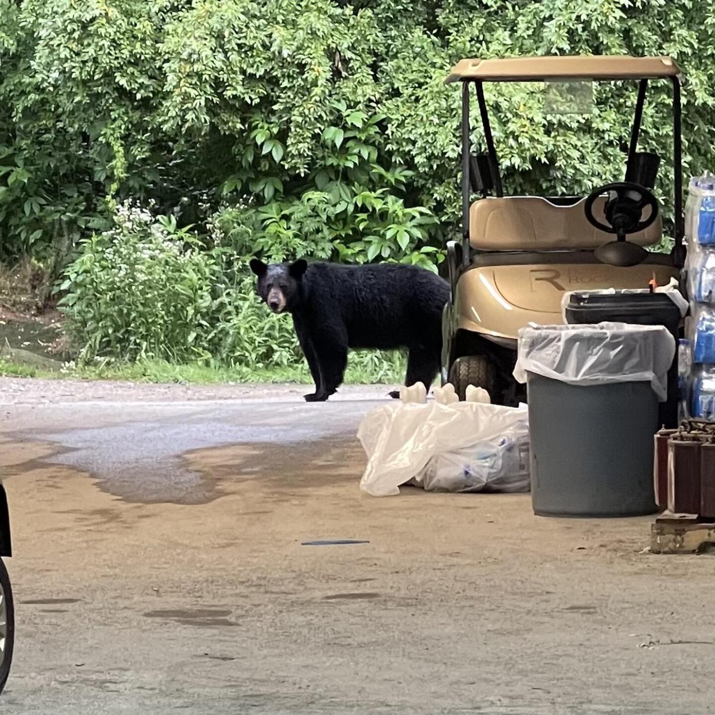 (Photo submitted by u314159297550 on 06/17/2022)