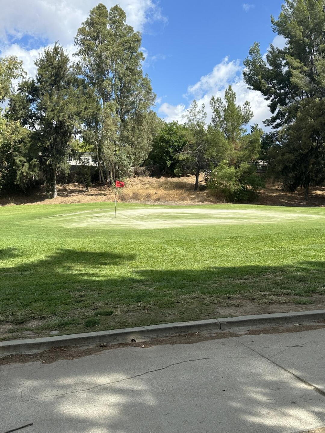 Fungus on green (Photo submitted by agileflow on 09/18/2024)