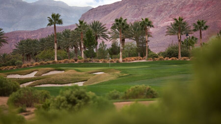 Siena GC: #6