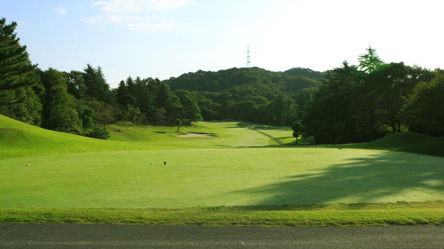 Kisaichi CC - Pine: #1