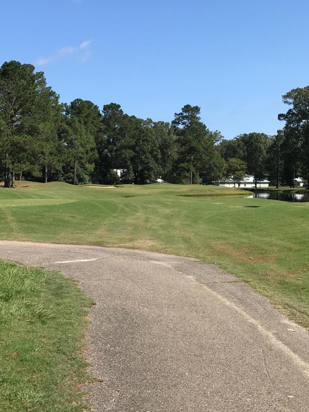 (Photo submitted by Tom5929581 on 09/27/2020)