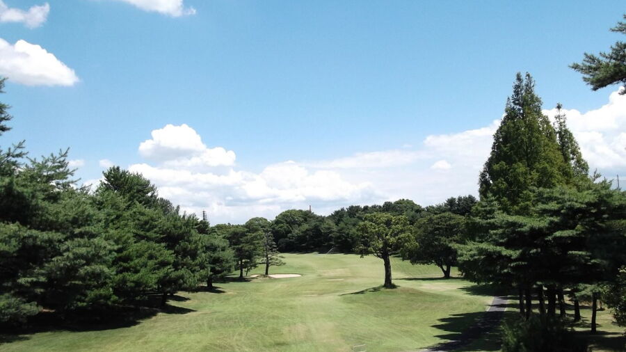 Bridgestone CC