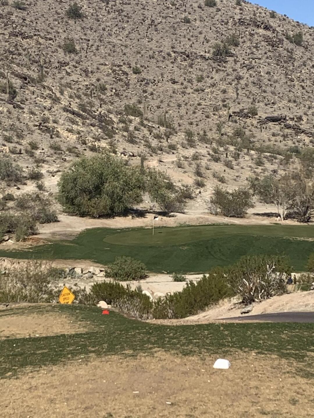 Back 9 (Photo submitted by Michjs0524 on 02/20/2021)