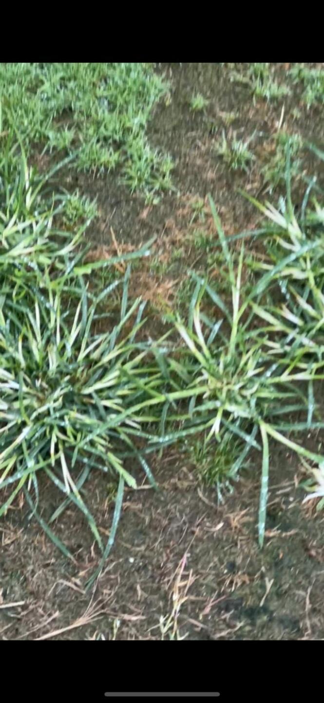 (Photo submitted by Zr3cRNACNjp66QtRePNN on 08/02/2025)