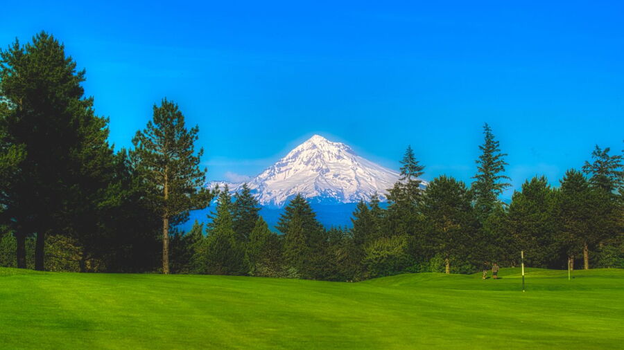 Persimmon CC