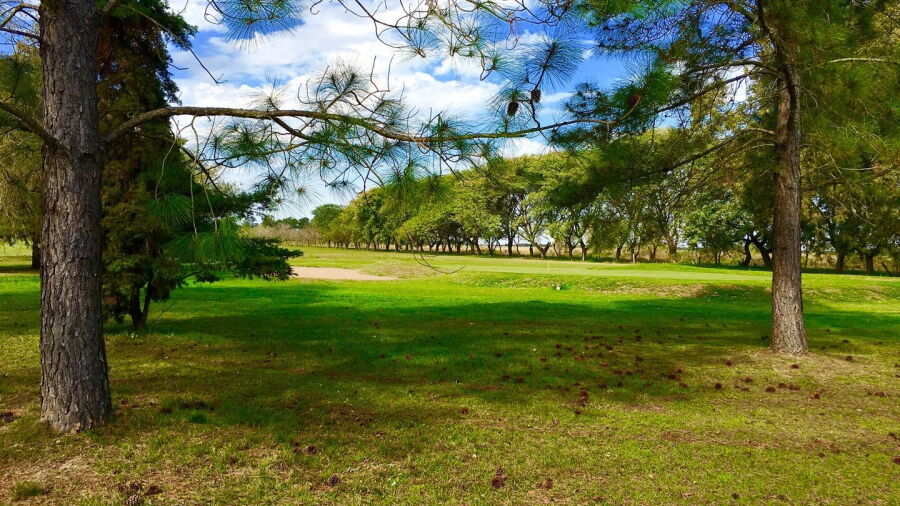 San Jeronimo Del Rey GC: #4