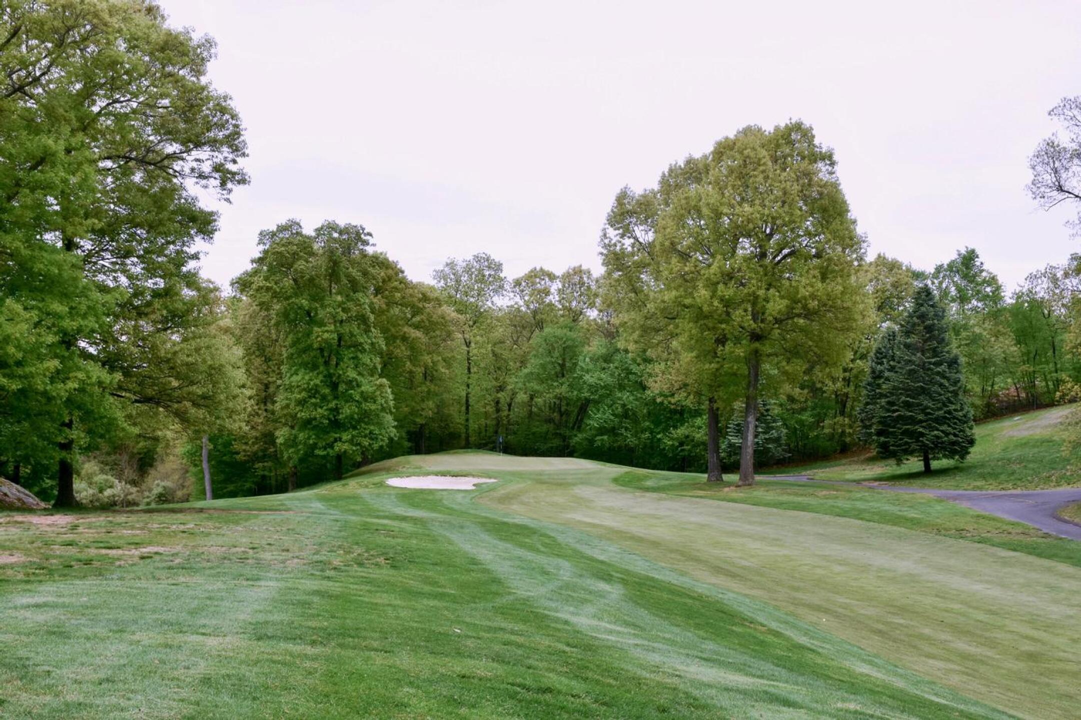 Long hitters may gain an advantage off the 13th tee, but only if they are extremely accurate. (Photo submitted by AptlyLinked on 05/14/2026)