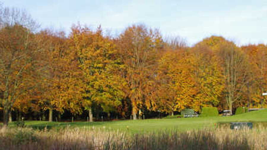 Breuninkhof GC