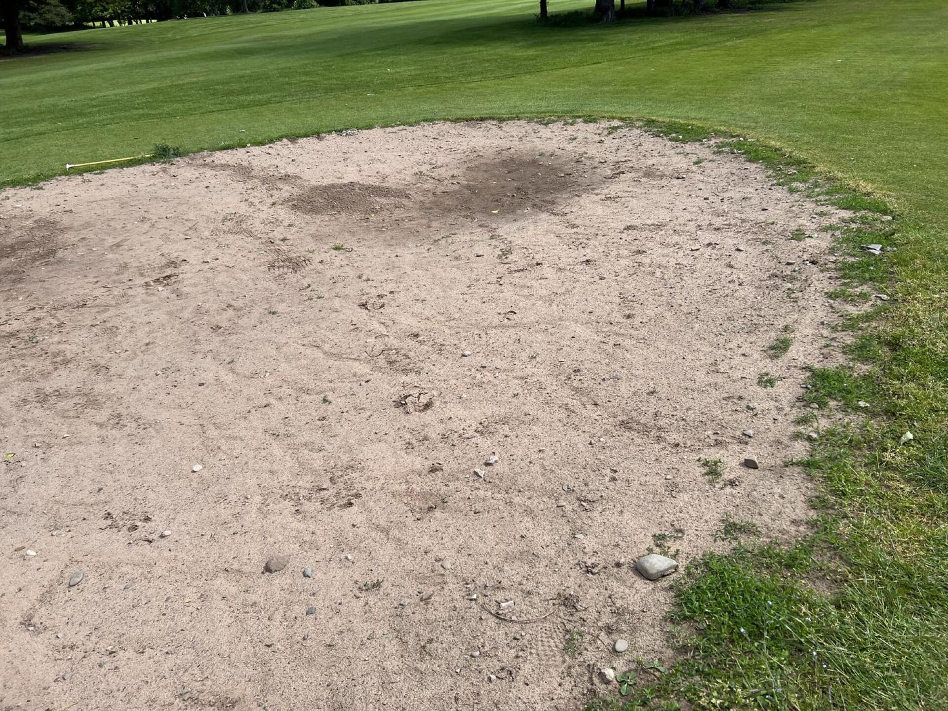 (Photo submitted by Yagoobian on 05/28/2022)