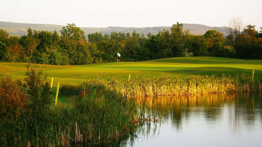 Grange Castle GC: #10