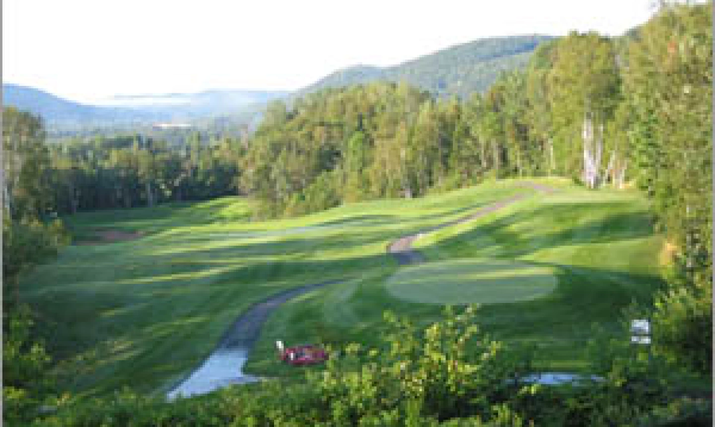 Safe Bete: Graham Cook