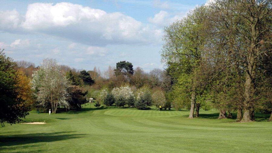 Tree lined approach at Aldenham Golf Club