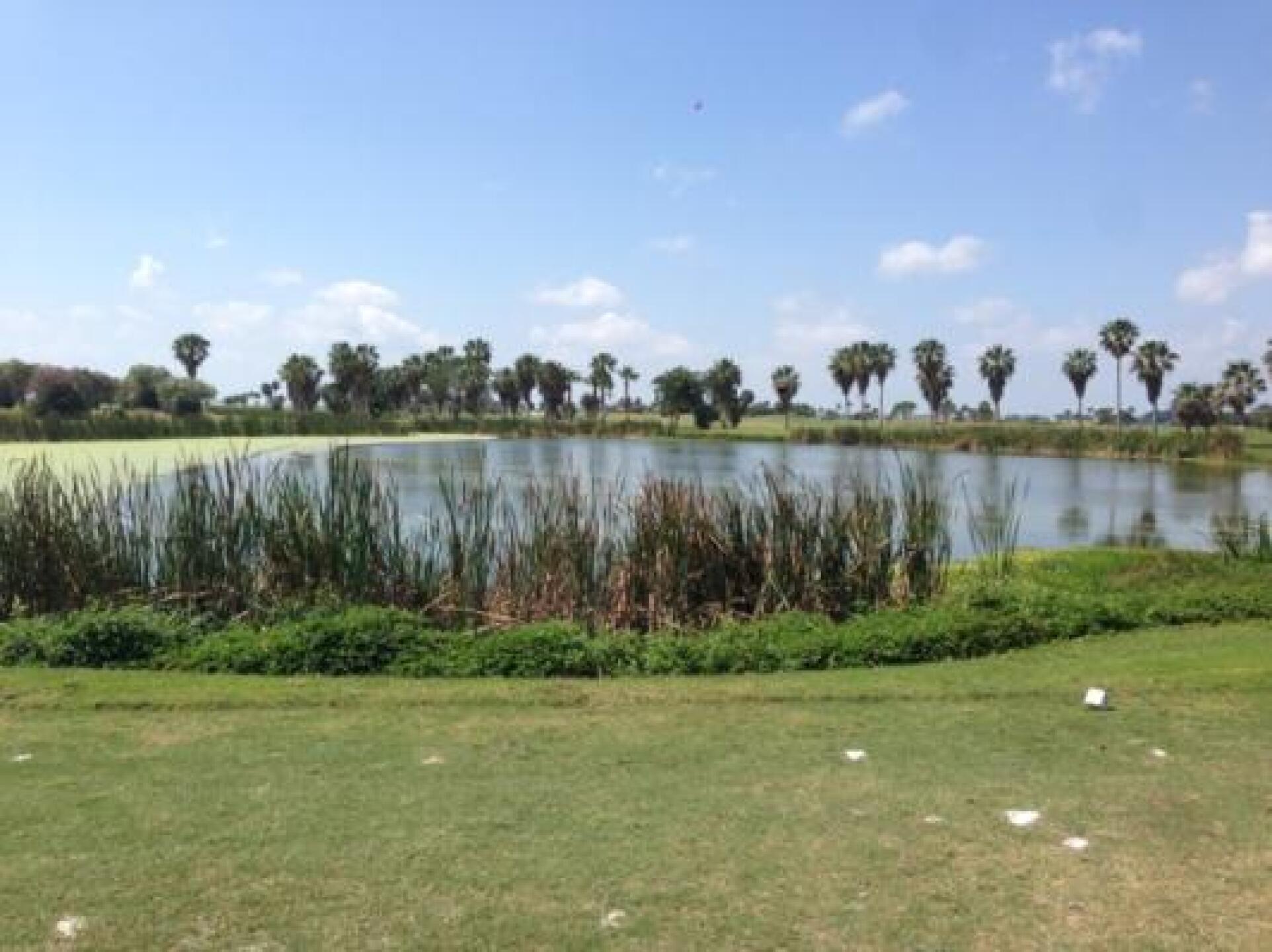 (Photo submitted by mhrystak on 04/08/2014)