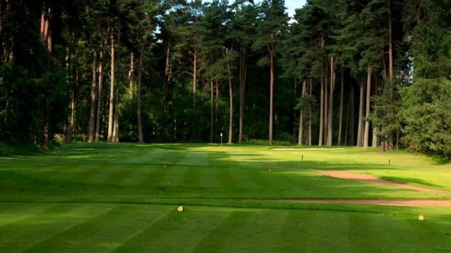 Woburn GCC - Duchess': #13