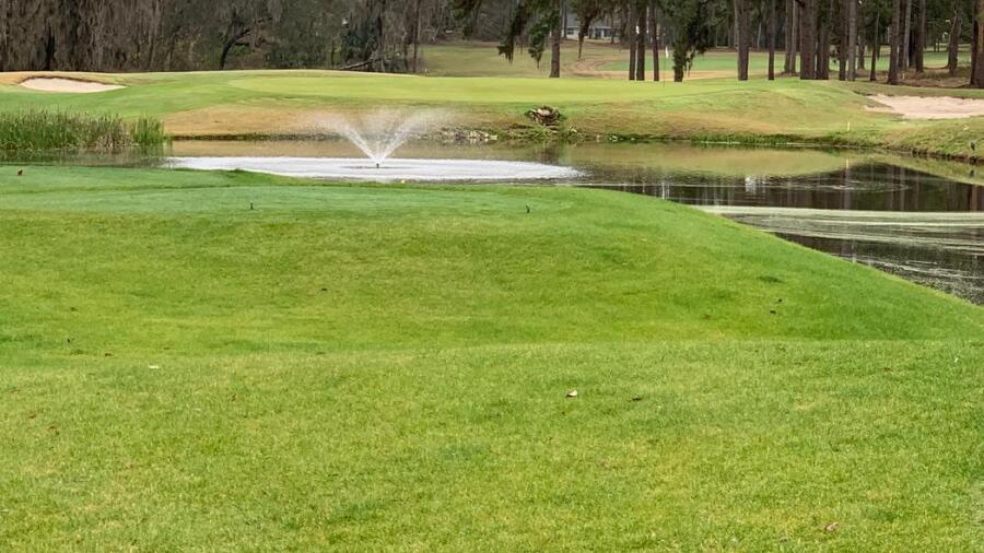Ocala National