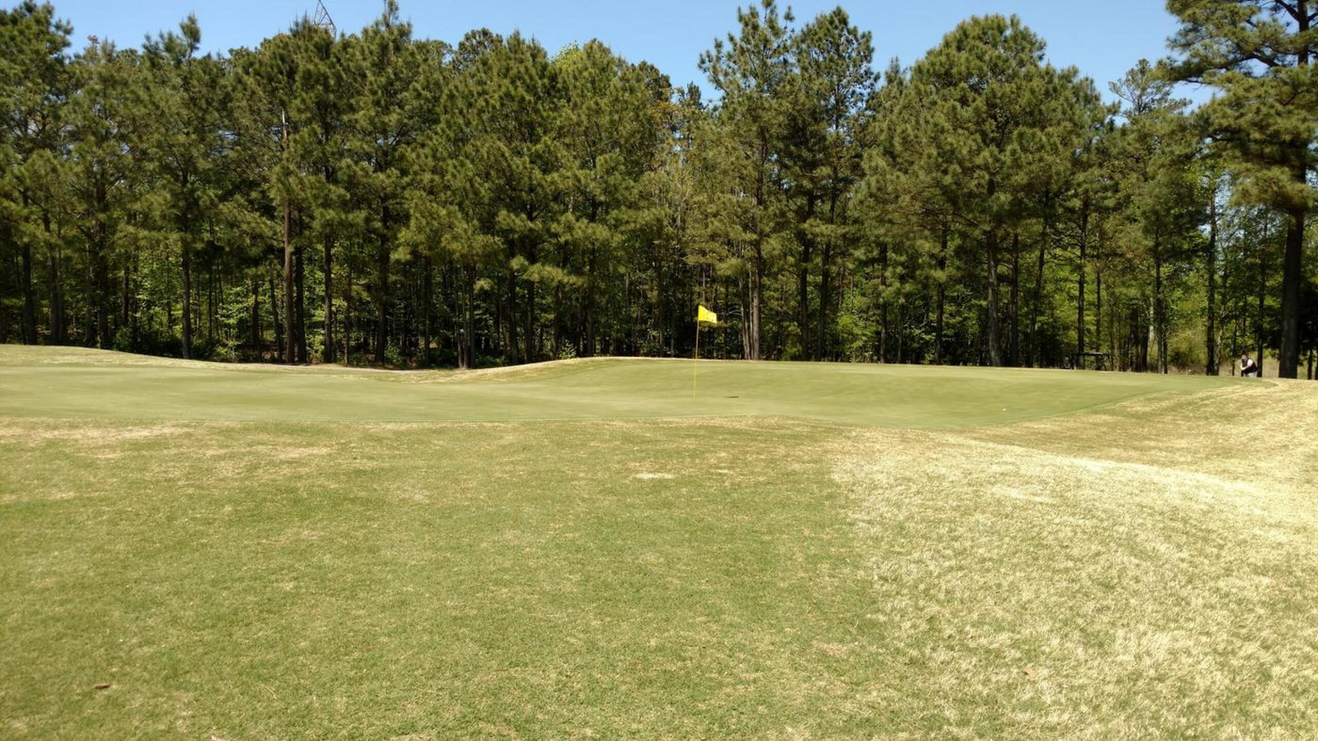 View of the green on #8, shaped like a half pipe. (Photo submitted by Bombtech6316 on 05/01/2018)