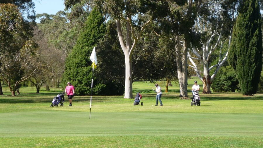 Penola GC