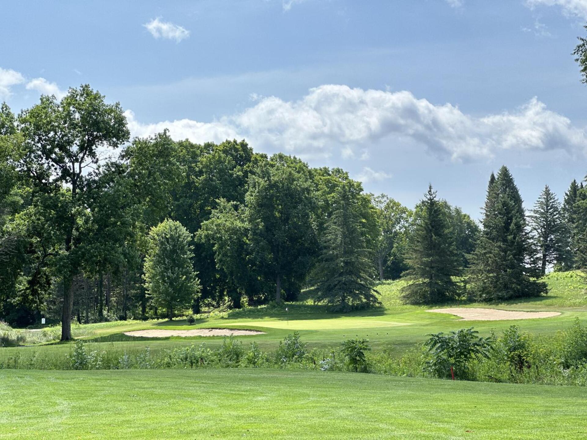 (Photo submitted by u835478815 on 07/16/2023)