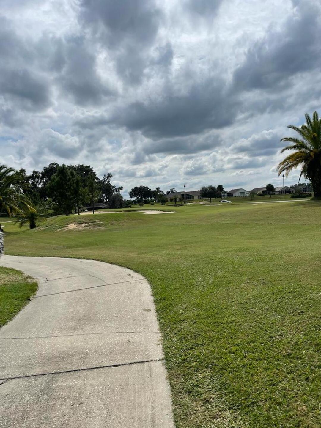 (Photo submitted by PaulSturgess on 10/10/2023)