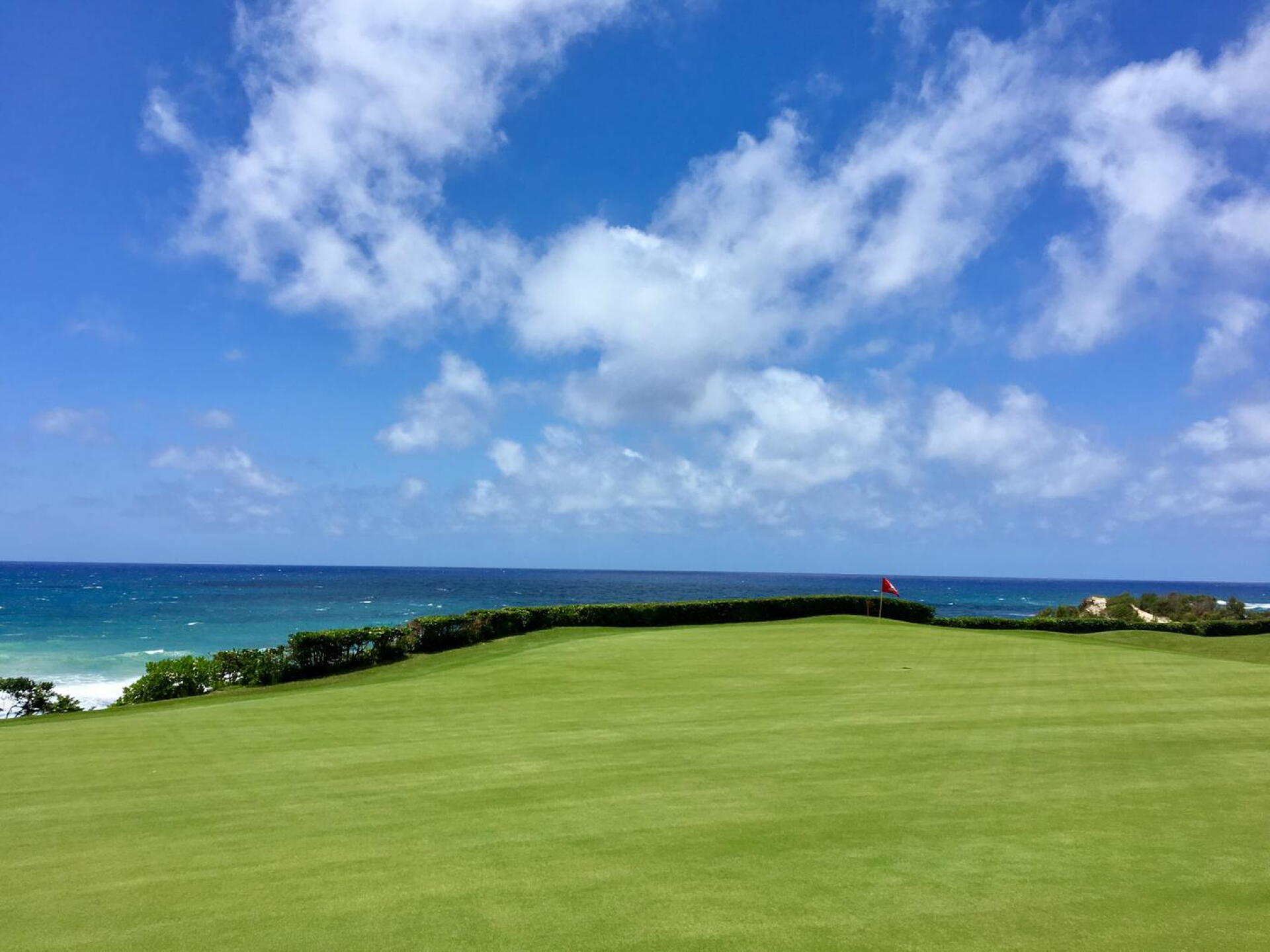 Par-4 16th green. (Photo submitted by BrandonWebb on 06/07/2018)