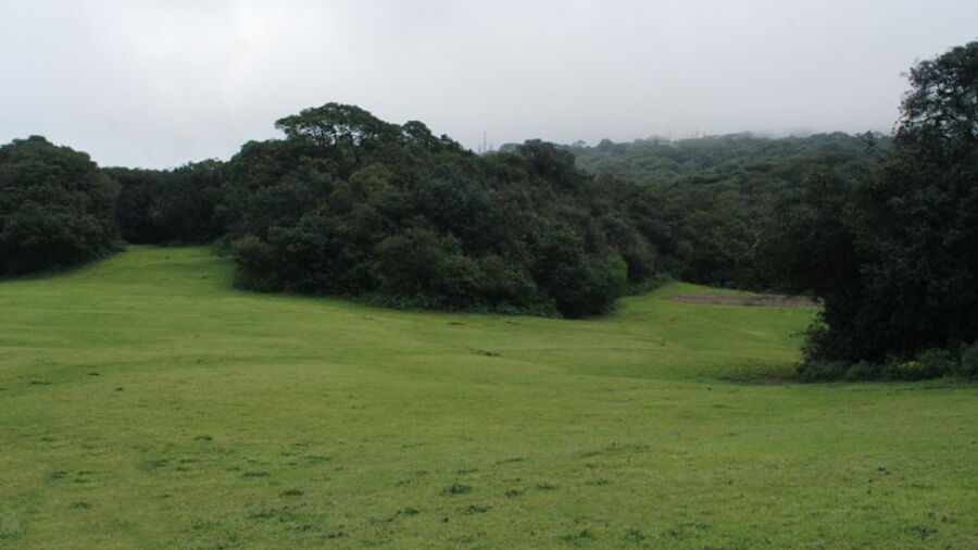 The Club Mahabaleshwar