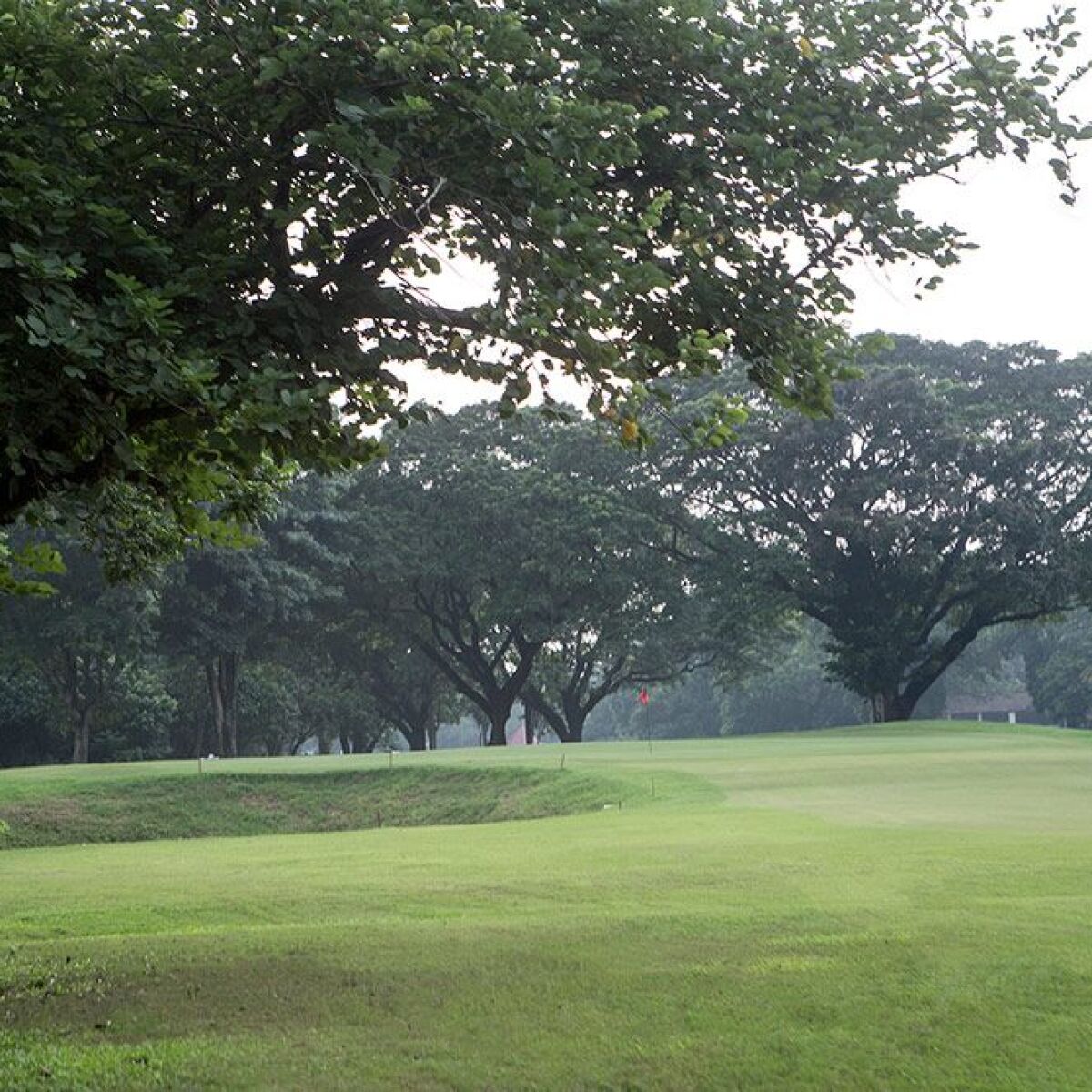 Royal Calcutta Golf Club in Tollygunge, Kolkata, India GolfPass
