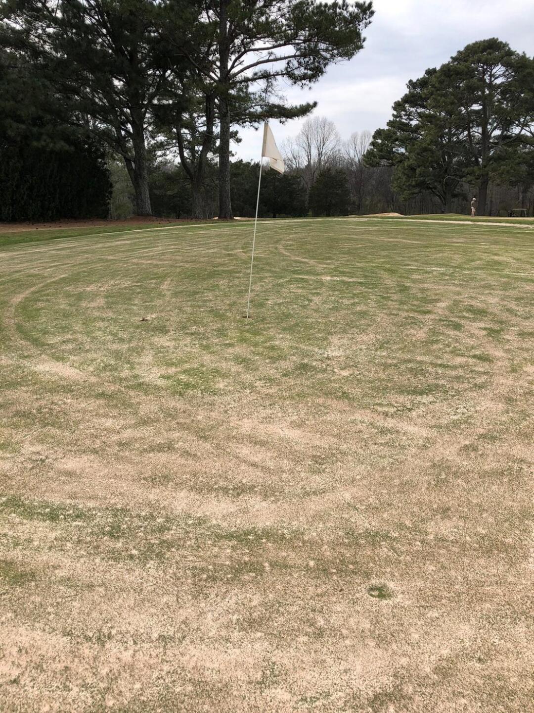 (Photo submitted by Scott328427 on 03/11/2018)