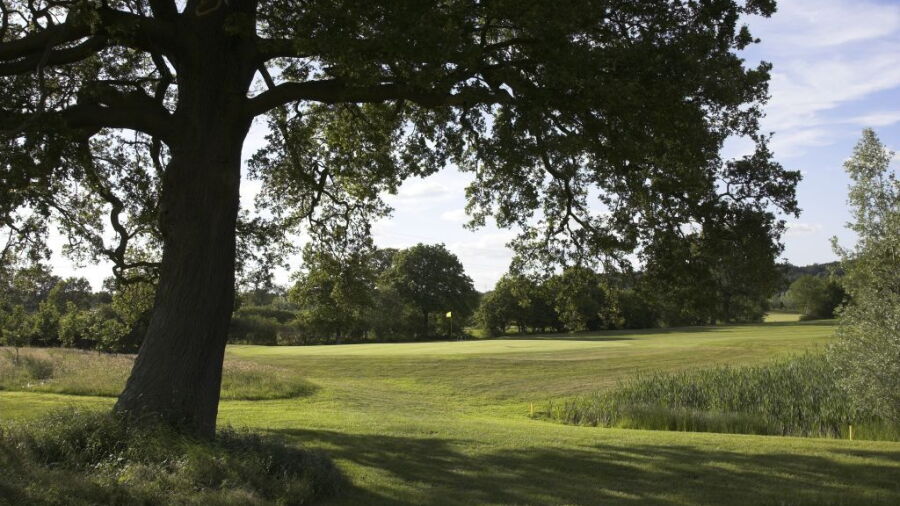 Hartley Wintney: 7th green