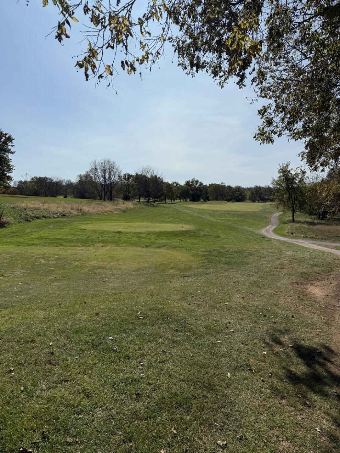 Wildcat #1 Tee (Photo submitted by gn25717087 on 10/21/2024)