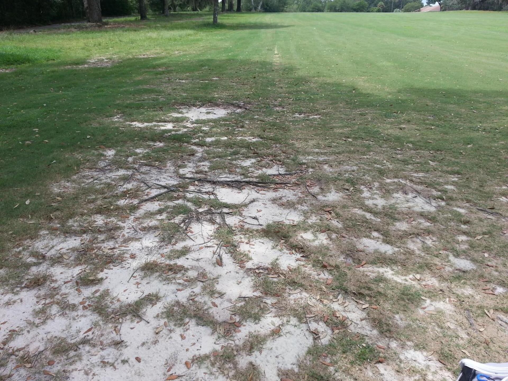 (Photo submitted by youraway2 on 09/04/2017)