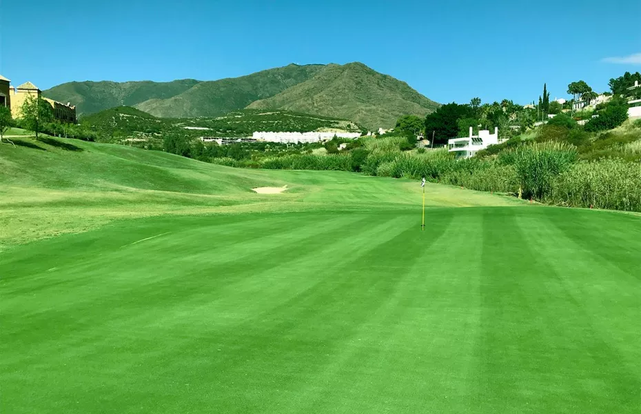 Azata Golf: #6