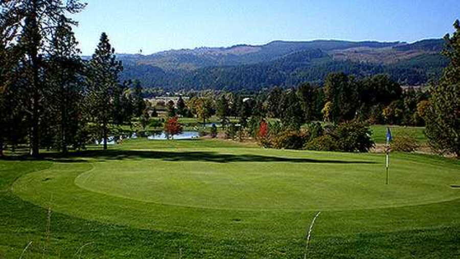 Springfield GC: #5